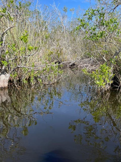 undefined Gallery Image 4