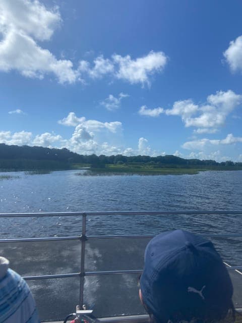 undefined Gallery Image 2