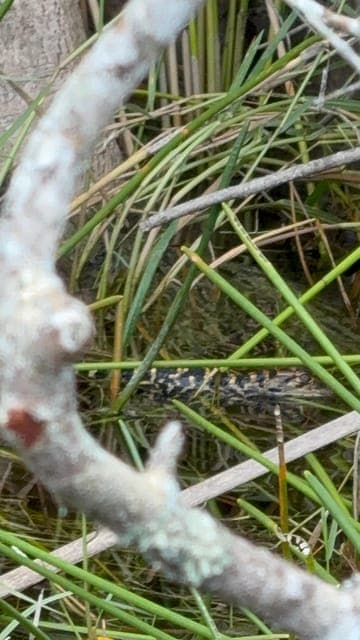 undefined Gallery Image 2