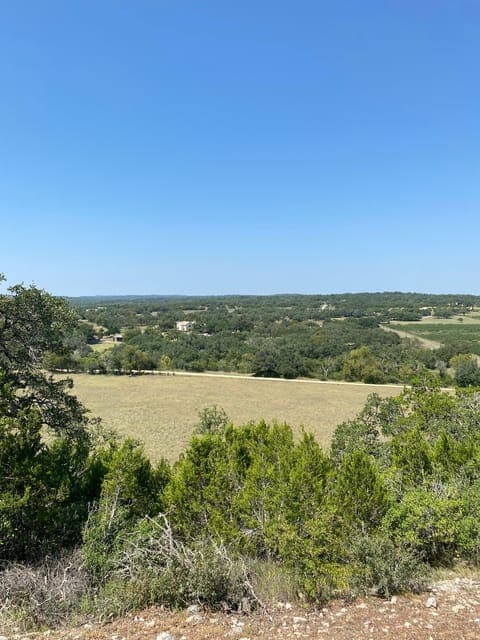 undefined Gallery Image 3