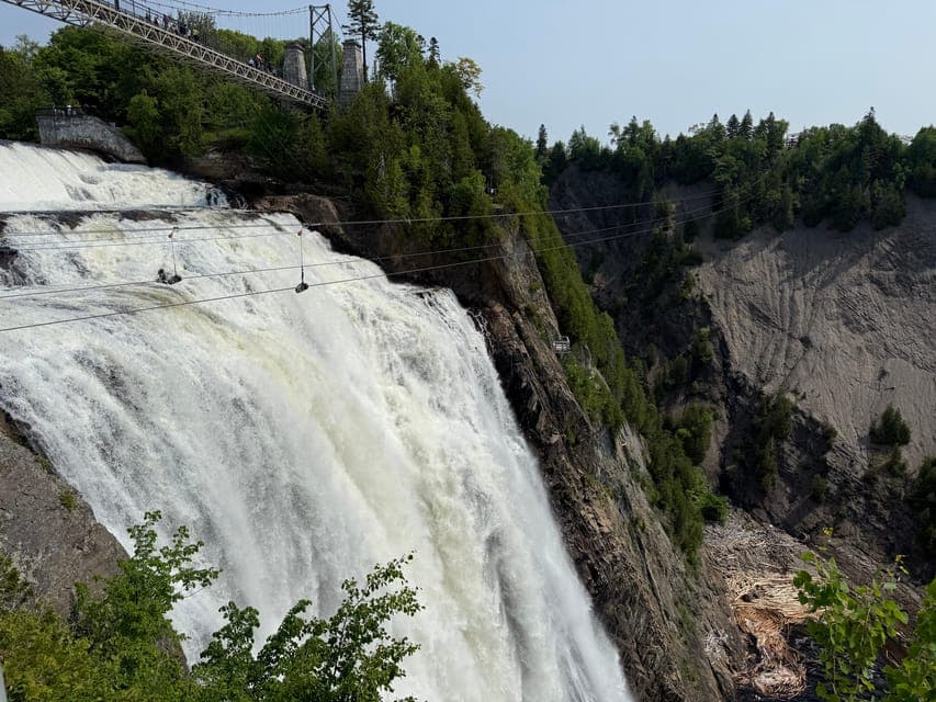 undefined Gallery Image 3