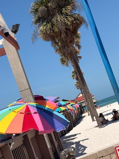 undefined Gallery Image 1