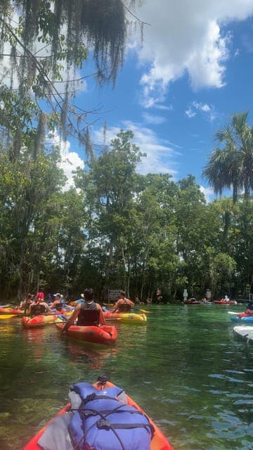 undefined Gallery Image 1