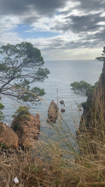 undefined Gallery Image 1