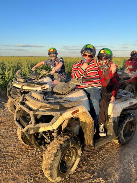 undefined Gallery Image 1