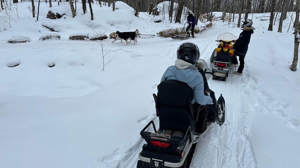 undefined Gallery Image 2