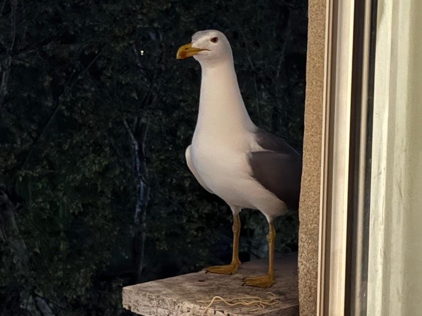 undefined Gallery Image 3