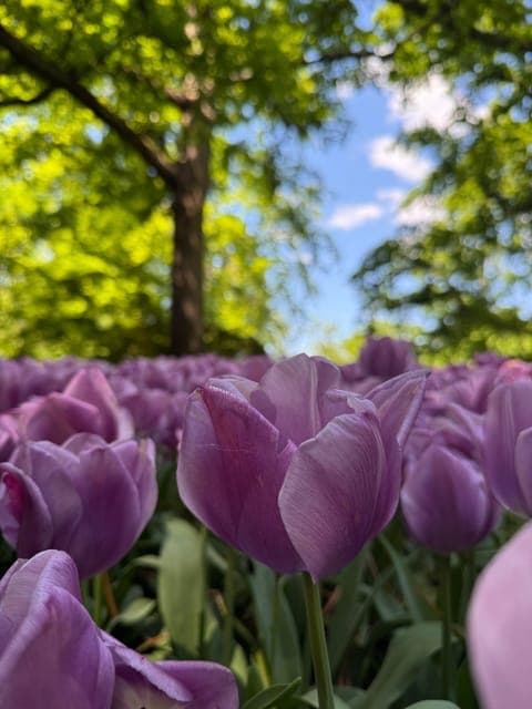 undefined Gallery Image 4