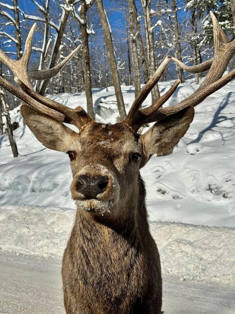 undefined Gallery Image 2