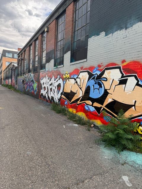 undefined Gallery Image 1