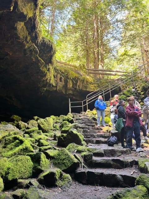 undefined Gallery Image 1