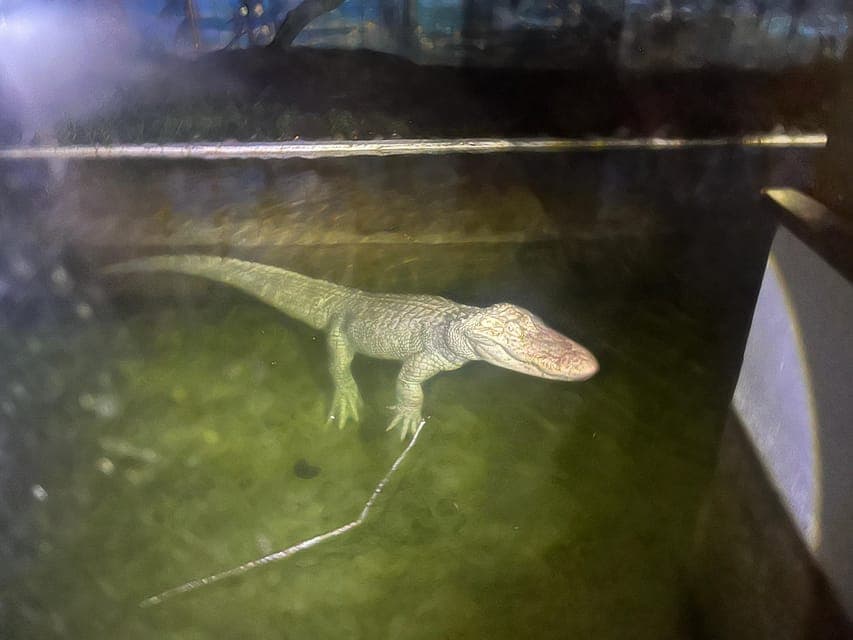 undefined Gallery Image 3