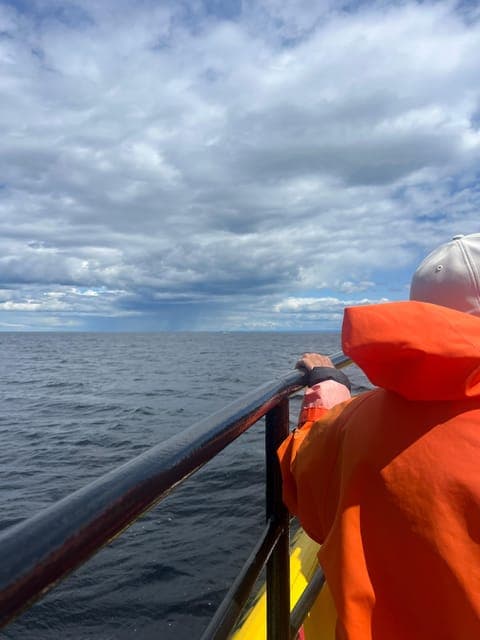 undefined Gallery Image 1