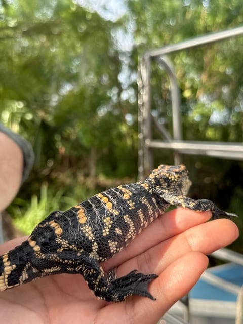 undefined Gallery Image 2