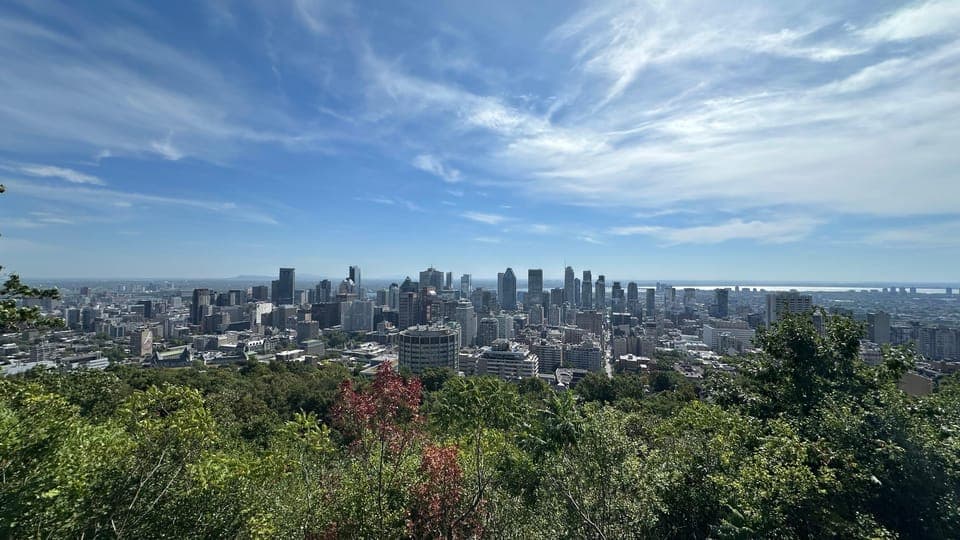 undefined Gallery Image 3