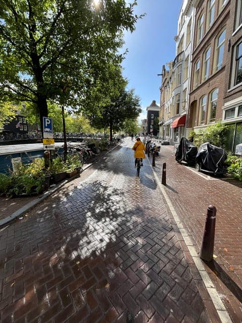 undefined Gallery Image 4