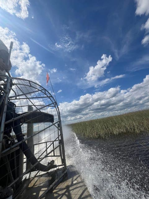 undefined Gallery Image 1