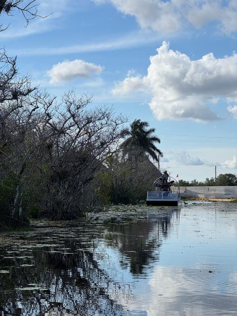 undefined Gallery Image 3