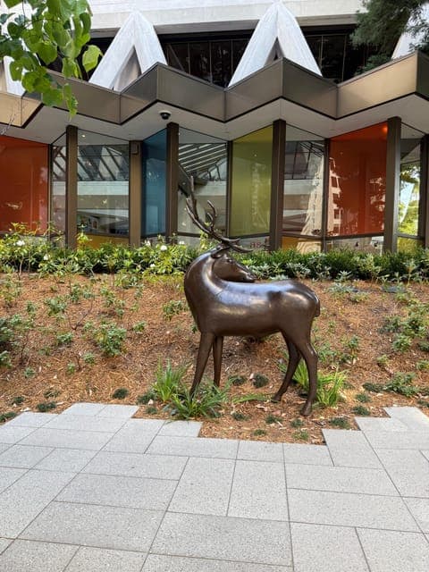 undefined Gallery Image 1