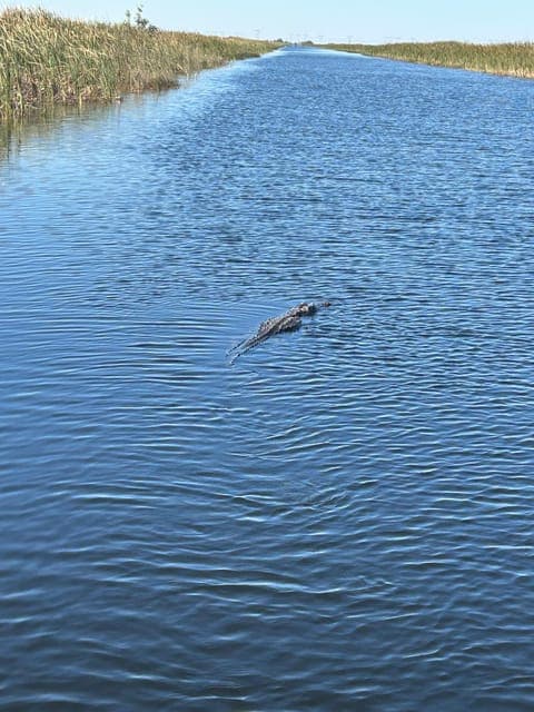 undefined Gallery Image 4