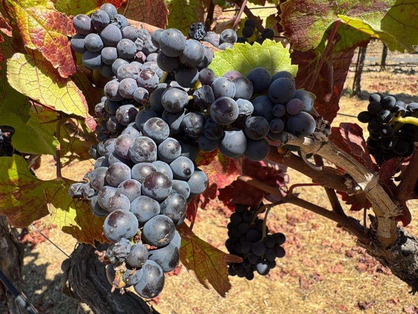 undefined Gallery Image 1