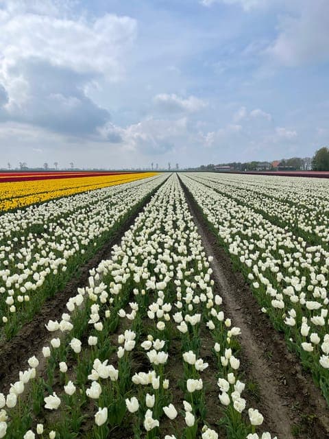 undefined Gallery Image 1