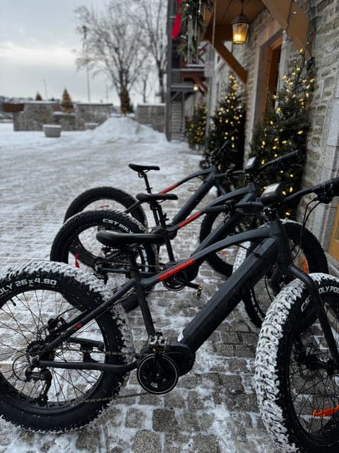 undefined Gallery Image 1