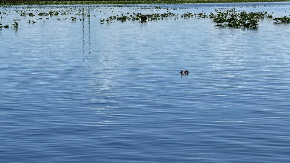 undefined Gallery Image 4