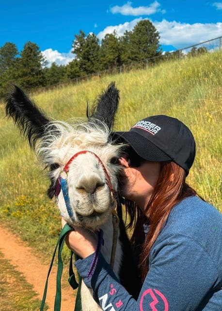 undefined Gallery Image 3