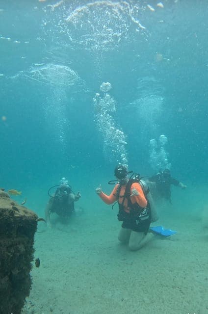 undefined Gallery Image 2