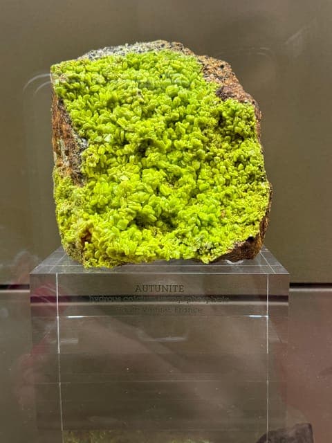 undefined Gallery Image 2