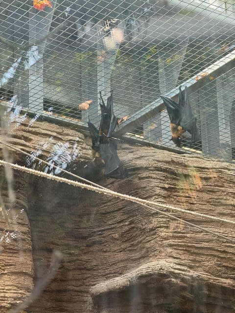 undefined Gallery Image 3