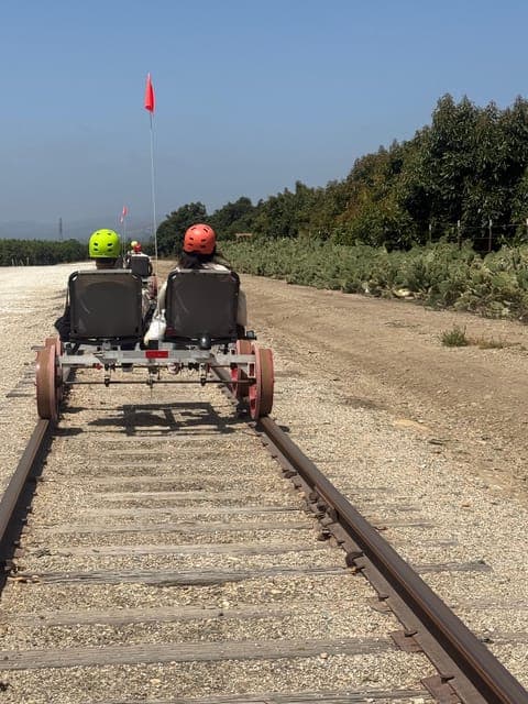 undefined Gallery Image 1