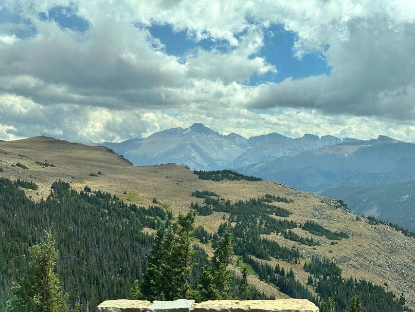 undefined Gallery Image 3