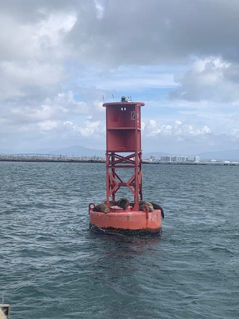 undefined Gallery Image 4