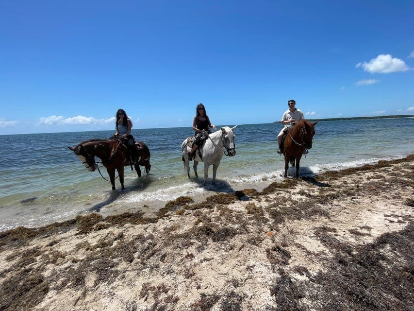 undefined Gallery Image 2