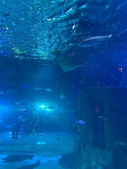 undefined Gallery Image 1