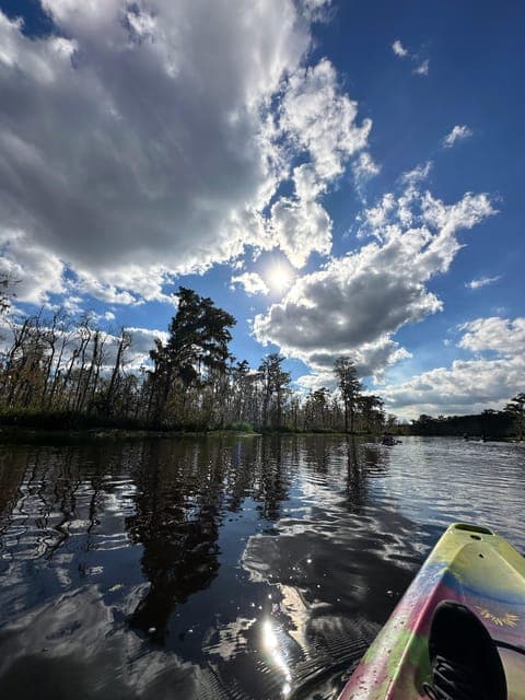 undefined Gallery Image 4