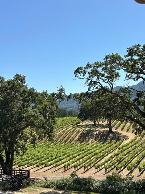 undefined Gallery Image 3