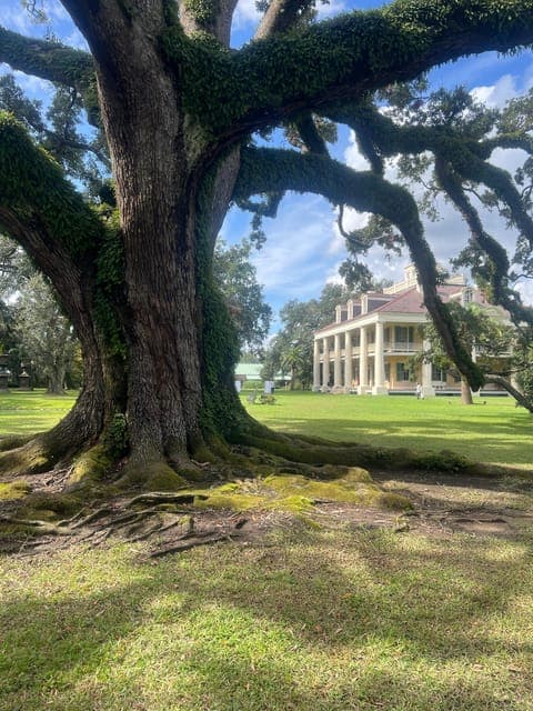 undefined Gallery Image 2