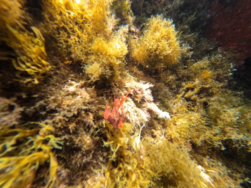 undefined Gallery Image 1