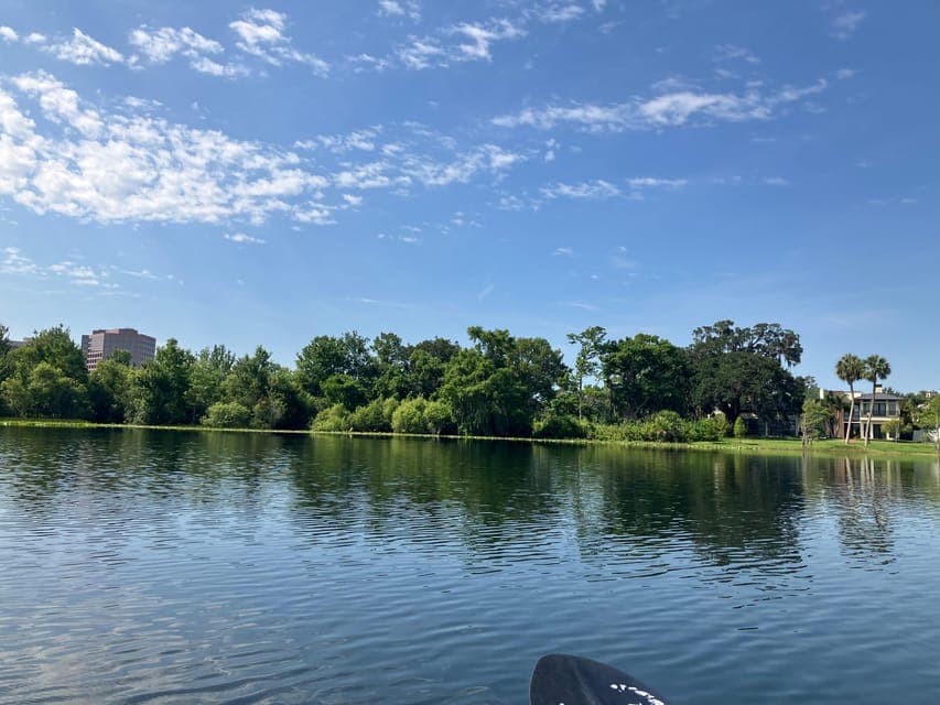 undefined Gallery Image 4