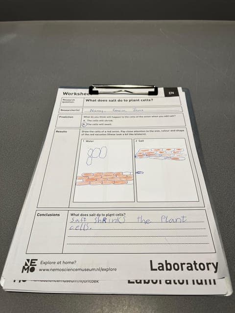 undefined Gallery Image 4