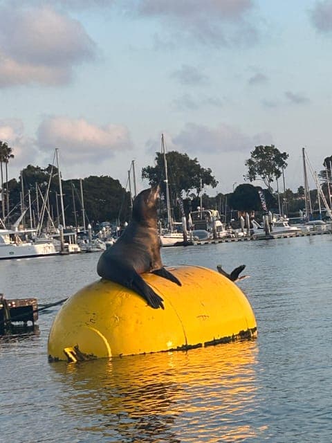 undefined Gallery Image 1