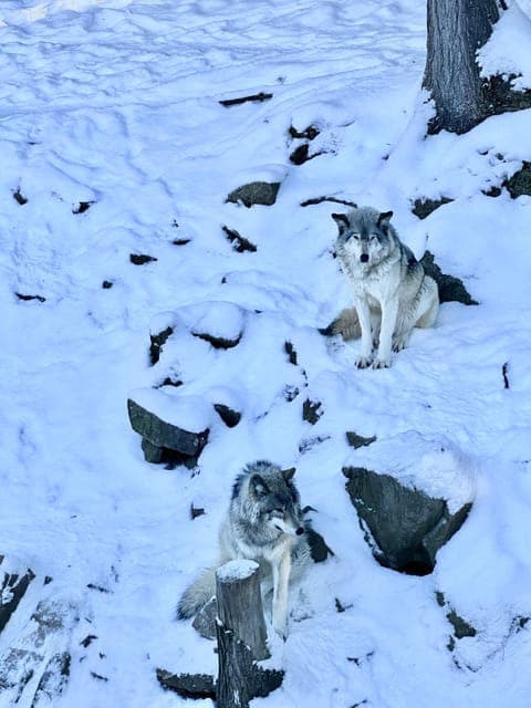 undefined Gallery Image 4