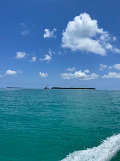 undefined Gallery Image 1