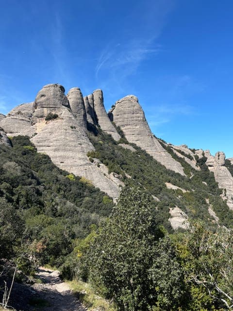 undefined Gallery Image 2