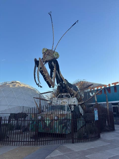 undefined Gallery Image 1