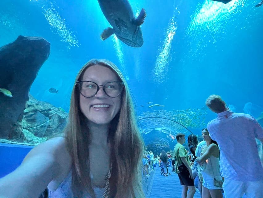 undefined Gallery Image 1