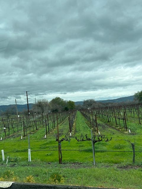 undefined Gallery Image 1